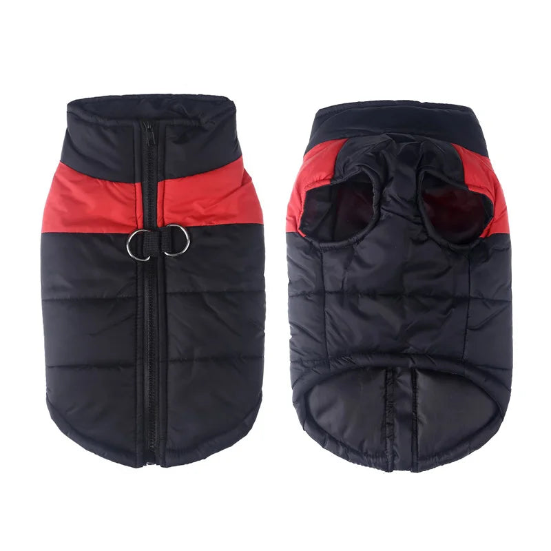 Capa Impermeável - Inverno Cães