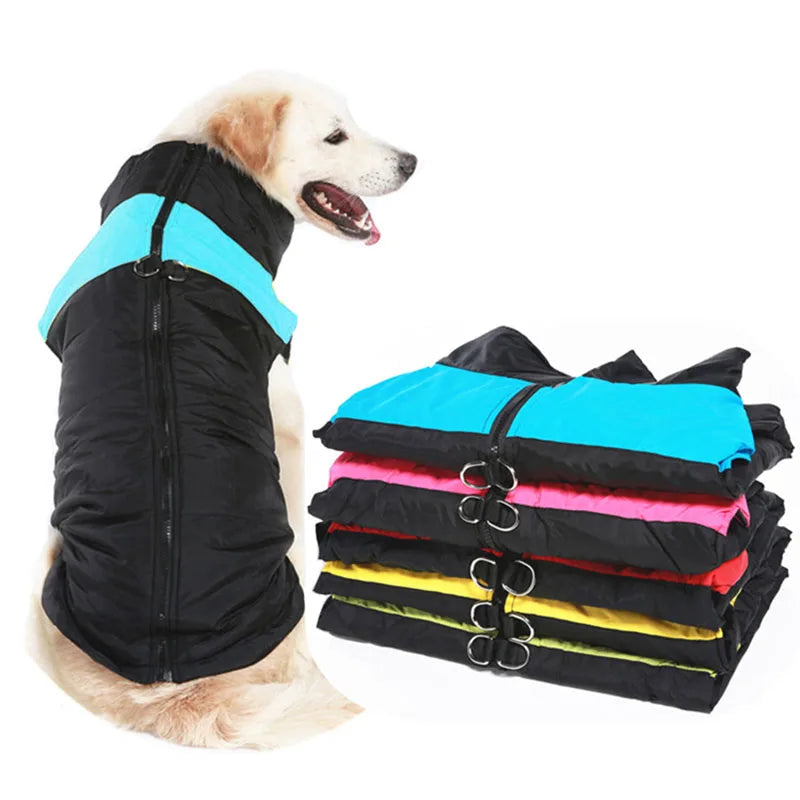 Capa Impermeável - Inverno Cães
